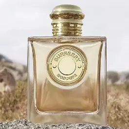 新香！Burberry 巴宝莉 Goddess 女神 EDP