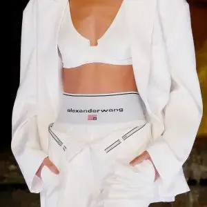LVR：Alexander Wang 大王大促 抢大号 Ryan 电脑包