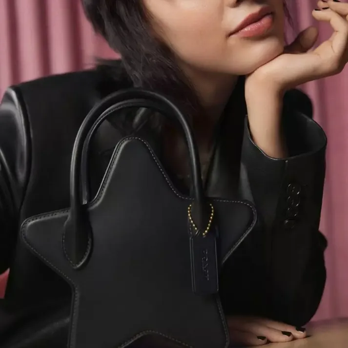 Coach 美国官网：12月海量上新 Hamptons 腋下包$295