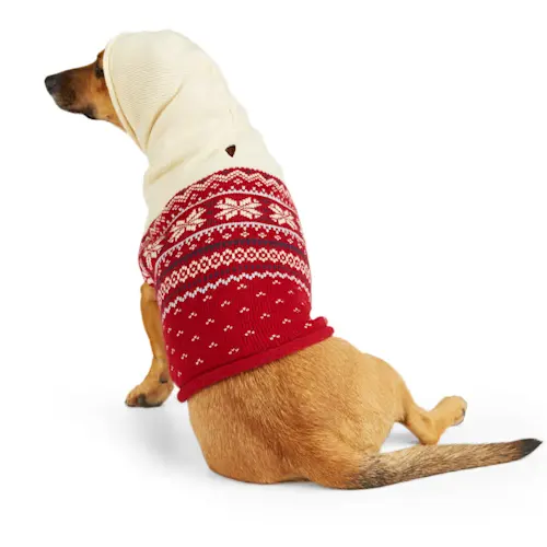 Petco：宠物服饰节日促销