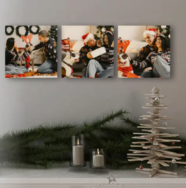 CanvasPrints.com：私人定制照片打印 可定制马克杯、抱枕等