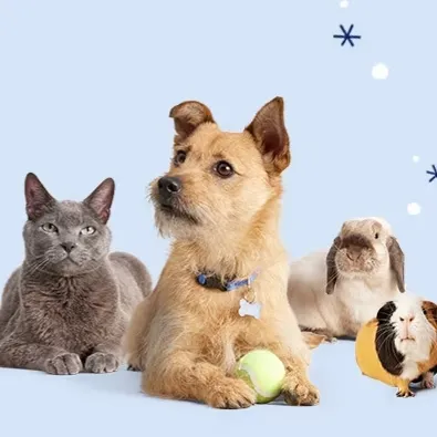 Petco：全场宠物用品促销 官网优惠汇总