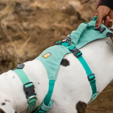 Backcountry：Ruffwear 拉夫威尔狗界始祖鸟热卖 精选7.5折