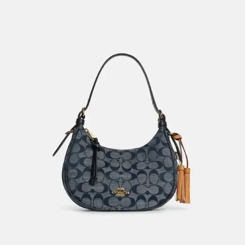 Shop Premium Outlets：coach 香布雷月牙腋下包