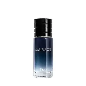 Dior 迪奥旷野男香 EDT 30ml