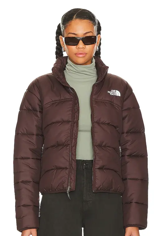 The North Face TNF 2000 羽绒服