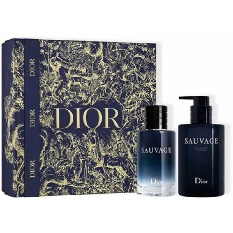 DIOR 迪奥 旷野男士 香水香氛套装（香水EDT100ml+沐浴露250ml）