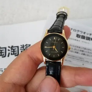 Citizen西铁城 皮革表带 男款 QA36-102