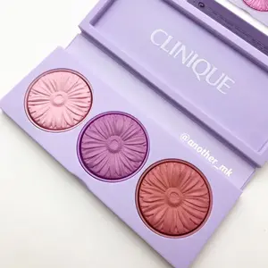 Clinique倩碧小菊花腮红盘Cool Down
