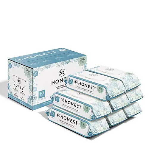 今日特价！HONEST温和配方婴儿湿纸巾! 576张