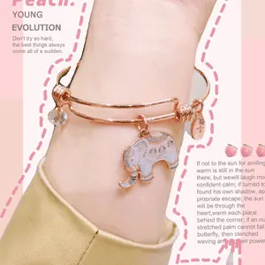 Unwritten 小象手环