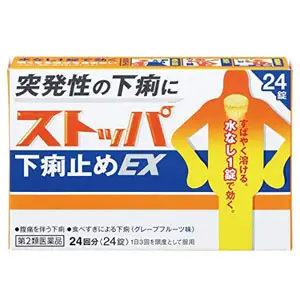 Lion狮王 快速止泻药EX 24粒