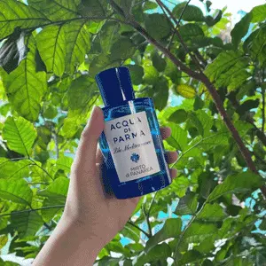 Acqua di Parma帕尔玛之水 加州桂桃金娘 香水 150ml