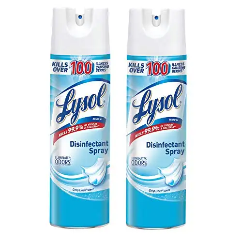 Lysol 专业消毒喷剂，清新香味， 19 oz/瓶，共2瓶