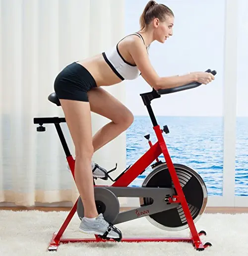 Sunny Health & Fitness Stationary Indoor Cycling Exercise Bike - SF-B1001/S