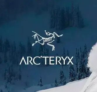 Arc'teryx始祖鸟美国官网2022 Black Friday黑五海报出炉