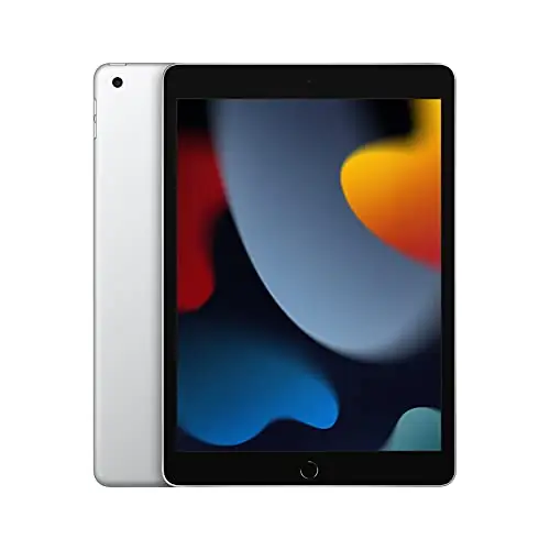 Apple 苹果 iPad 10.2吋平板电脑，256GB WIFI版