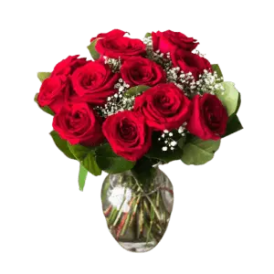 One Dozen Long Stemmed Red Roses