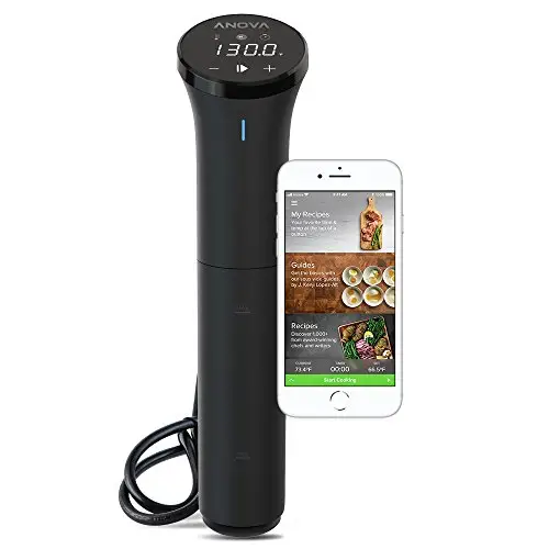 Anova Culinary AN400-US00 Precision Cooker Nano