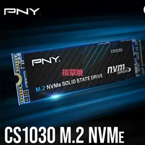 PNY CS1030 1TB M.2 NVMe PCIe Gen3 SSD 硬盘