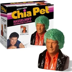 Chia Pet David Hasselhoff Planter