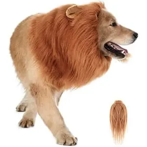 Dog Lion Mane Halloween Costume