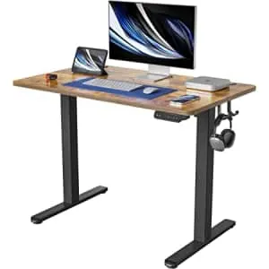 Fezibo 48" x 24" Electric Standing Desk