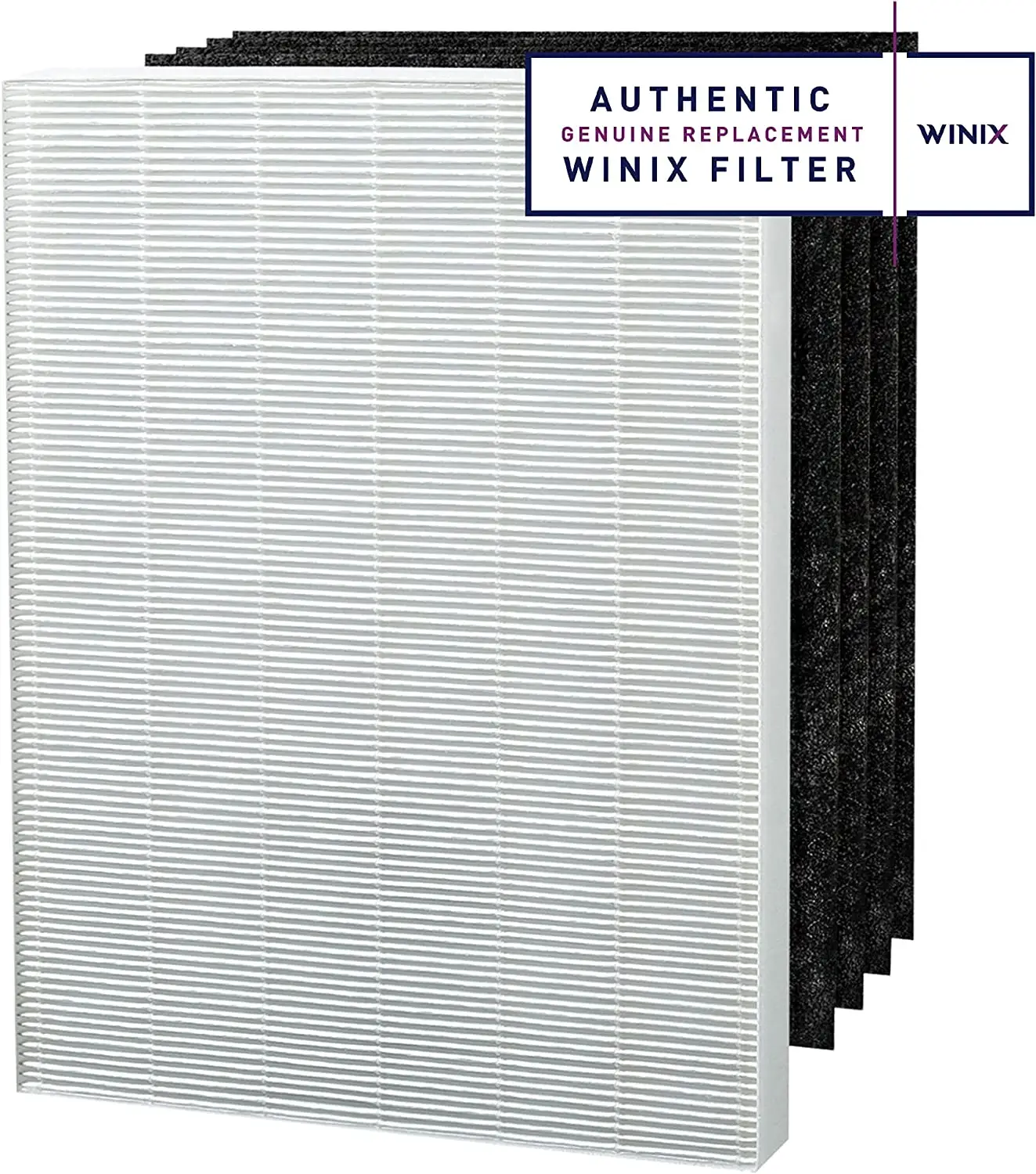 Winix Replacement Filter A Pack for C535, 5300-2, P300, & 5300