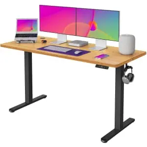 Fezibo 55" Adjustable Height Electric Standing Desk