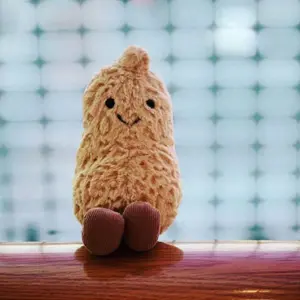 补货！Jellycat Amusable Peanut 趣味花生玩偶