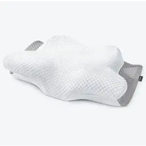Zamat Butterfly Shaped Cervical Memory Foam Pillow w/ Pillowcase