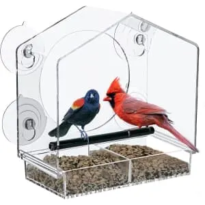 Window Bird Feeder