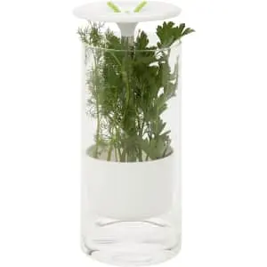 Honey Can Do Glass Herb Preserver