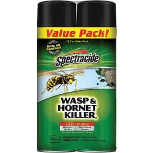 Spectracide Wasp & Hornet Killer Aerosol 20-oz Can 2-Pack
