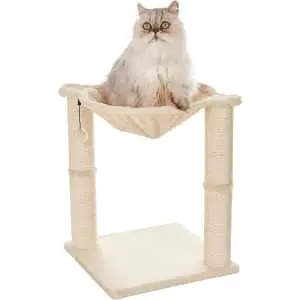 Amazon Basics Cat Tower w/ Hammock and Scratching Posts