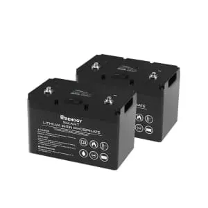 Renogy 12V 100Ah Smart Lithium Iron Phosphate Battery 2-Pack