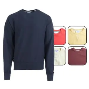 Champion Men's Surprise Crewneck Sweatshirt