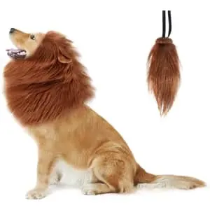 Dog Lion Mane Halloween Costume