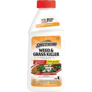 Spectracide Weed And Grass Killer Concentrate 16-oz