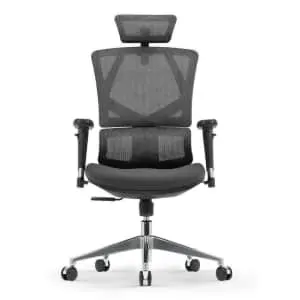 SIHOO M90D Ergonomic Chair w/ Adaptive Lumbar Support