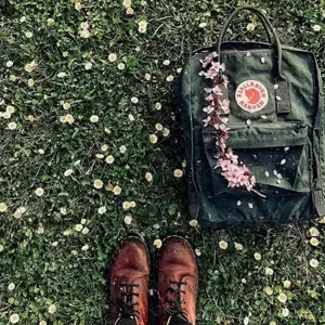 Fjallraven北极狐Kanken经典款森林绿双肩背包 16L