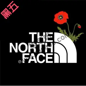 The North Face英国站黑五全场满£175享额外7折