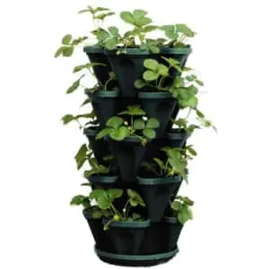 Mr. Stacky 5-Tier Stackable Planter