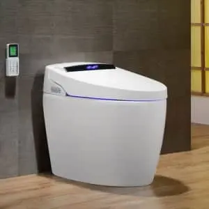 Smart Floor Mounted Elongated Toilet
