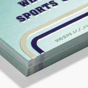 Vistaprint Business Cards