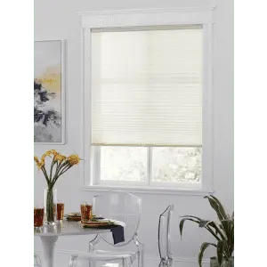Blinds.com Cordless Pleated Shades