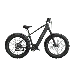 FreeBeat MorphRover eBike