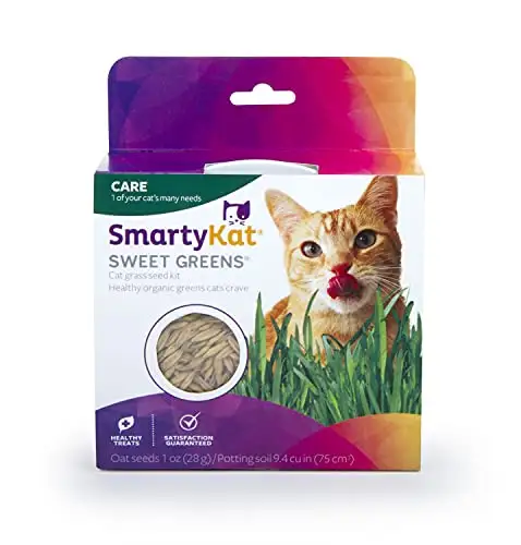 SmartyKat 猫草种子套装,有机燕麦草种子