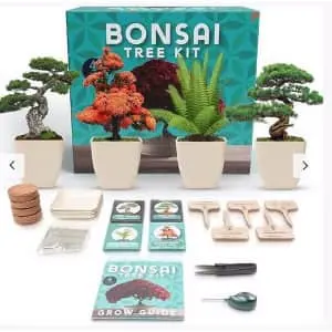 Bonsai Tree Starter Kit