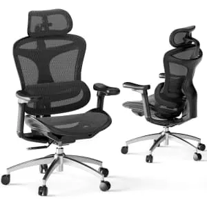 Sihoo Doro C300 Ergonomic Office Chair